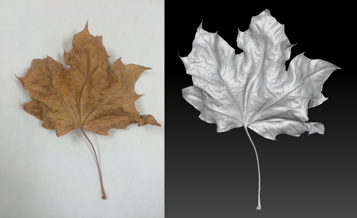 Bolton Works Maple Leaf (1)