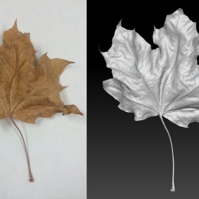 Bolton Works Maple Leaf (1)